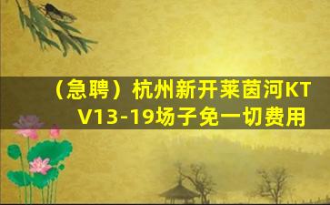 焦作夜场招聘